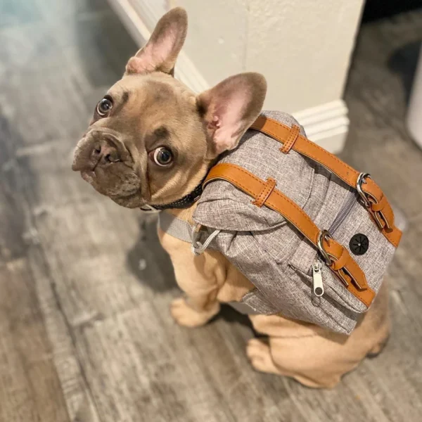 Fashion Dog Self Cute Backpack Pet Backpack Dog Harness Retro Style Trendy Cat Puppy Chest Strap Travel Pet Dog School Bag