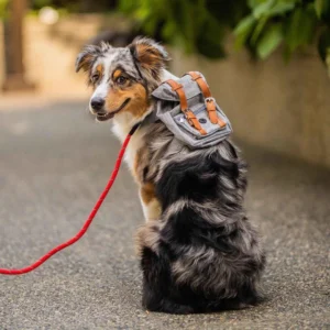 Fashion Dog Self Cute Backpack Pet Backpack Dog Harness Retro Style Trendy Cat Puppy Chest Strap Travel Pet Dog School Bag